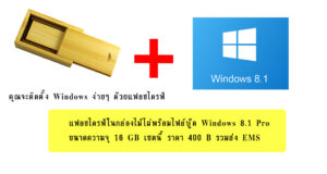 แฟลชไดรฟ์พร้อมไฟล์ windows