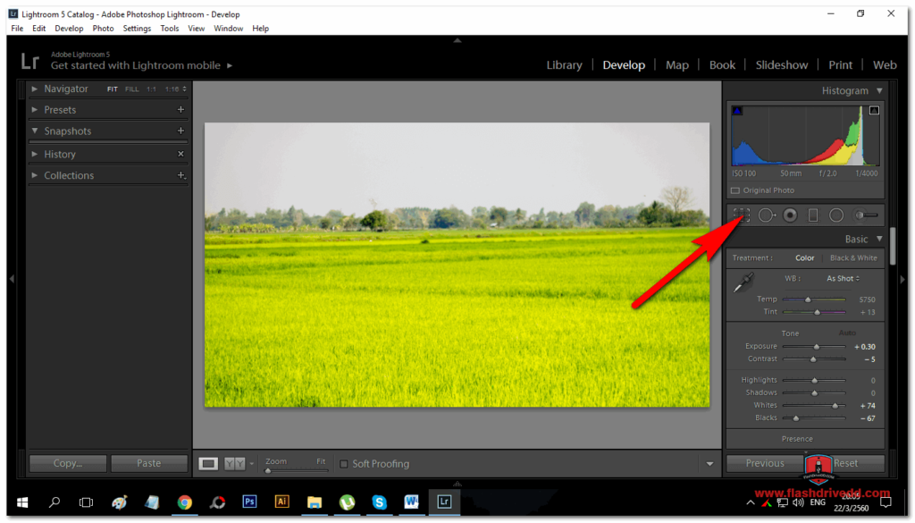 lightroom crop